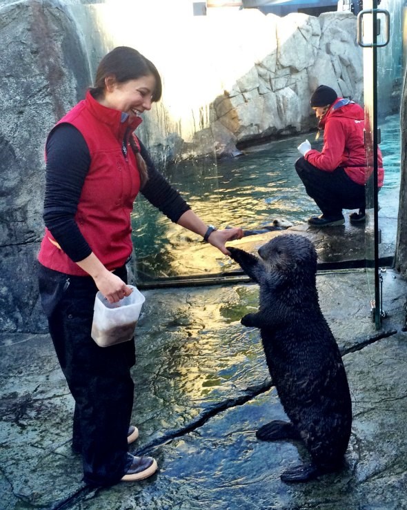 Nicky Garza Marine Mammal Trainer at Vancouver Aquarium