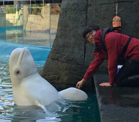 Encounters at the Vancouver Aquarium