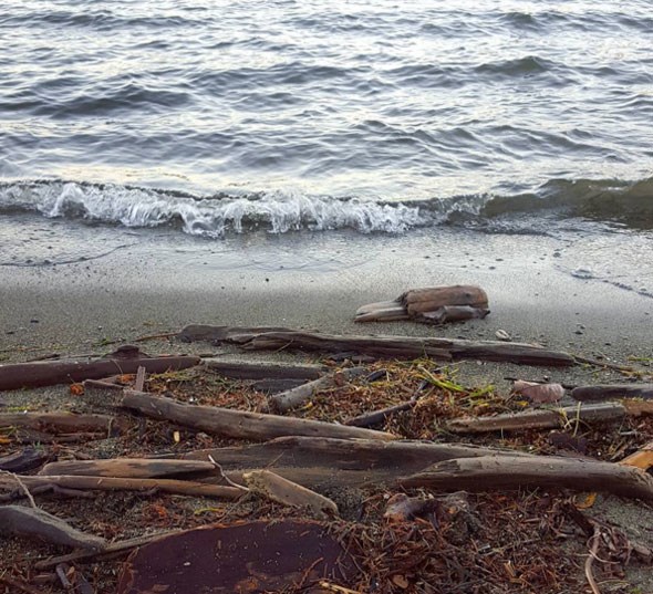 harrison-lake-shore