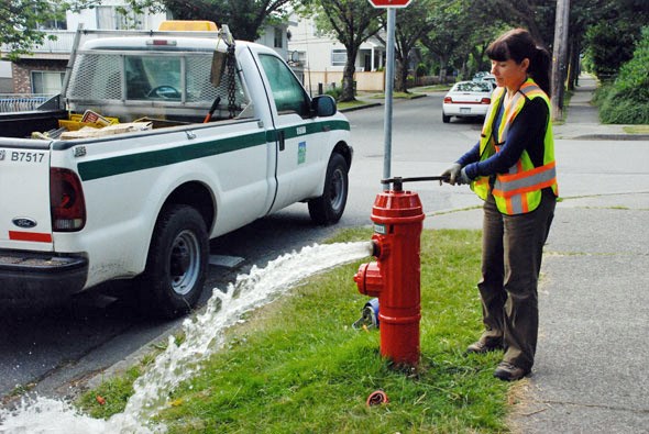 insect-control-hydrant