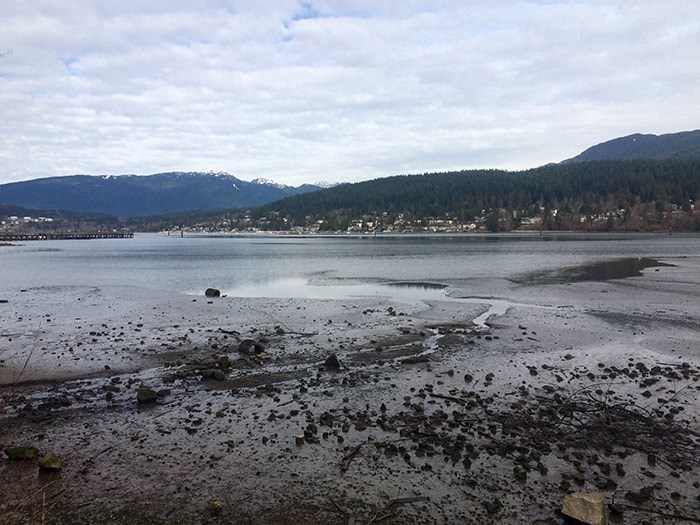  A view of the Inlet from the east end of Rocky Point Park. Photo: Robyn Petrik