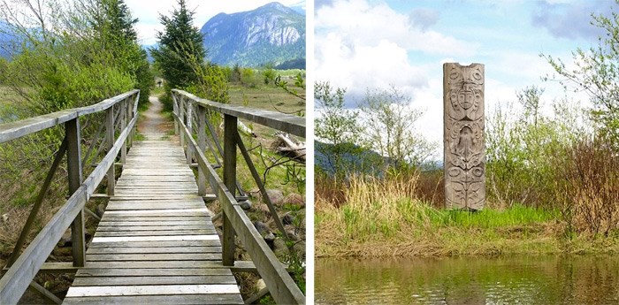 squamish-estuary