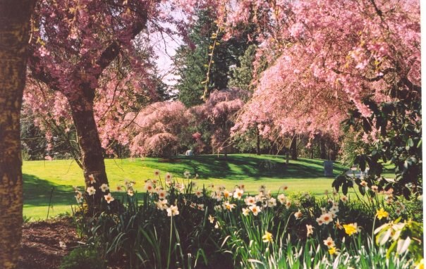  Photo courtesy VanDusen Botanical Garden