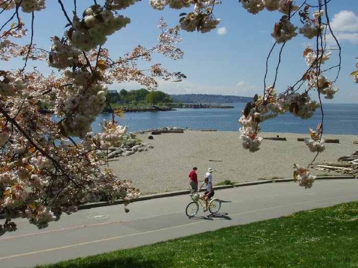 sakura-seawall-2-lowres