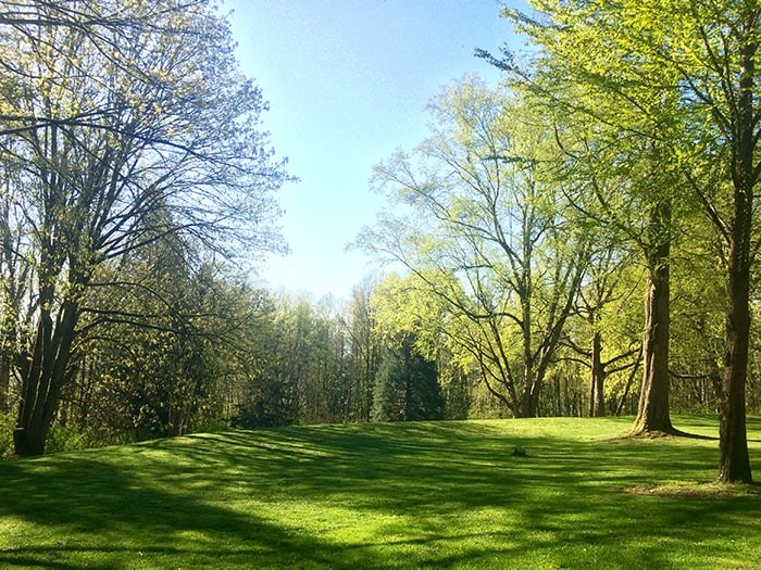  One of the green spaces in Redwood Park. Photo: Robyn Petrik