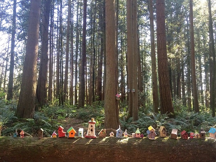  Fairy houses in Redwood Park. Photo: Robyn Petrik