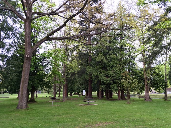  Part of the picnic area. Photo: Robyn Petrik