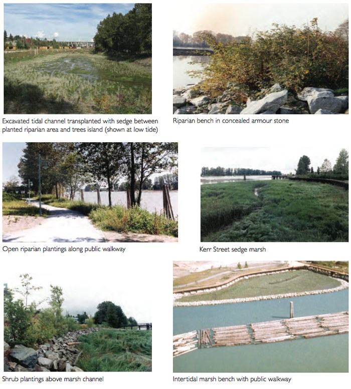 river-district-riparian-etc