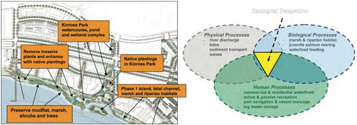  Selections from River District's plan to rehabilitate their section of the Fraser