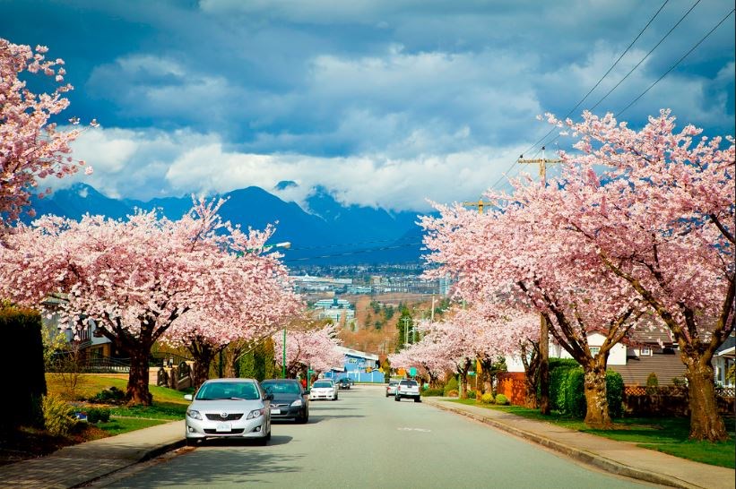  Burnaby near Metrotown.  img: 