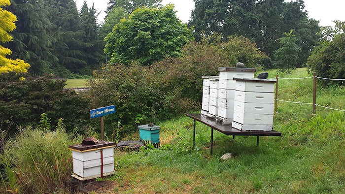 beehives700x394