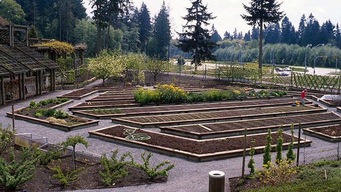 foodgarden700x394