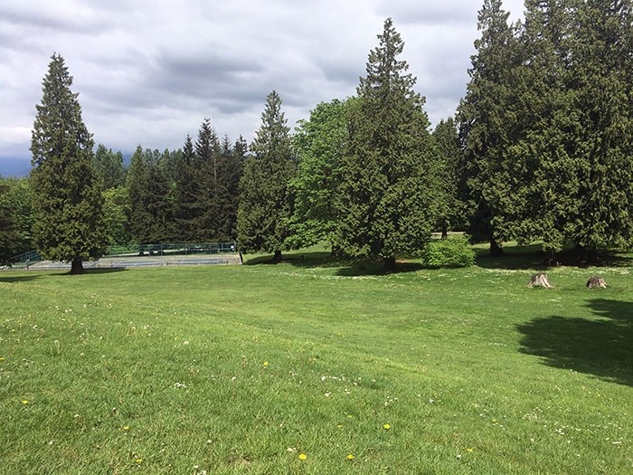  Some of the greenspace above the tennis courts.