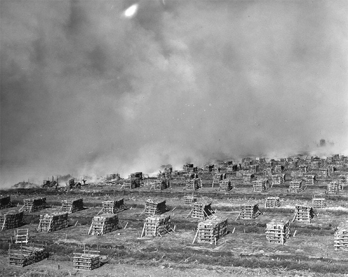  Peat mining (and peat fires!) were a big there in the 30's and 40's. This 1938 photo shows a fire over peat stacks on nearby Lulu Island