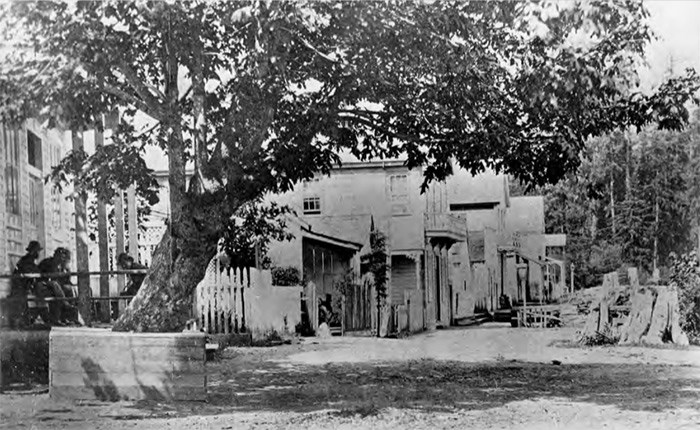  Gastown. Dominion Photo Co. photo, Vancouver Public Library VPL 24322.