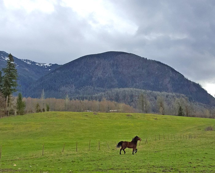 cultus-lake