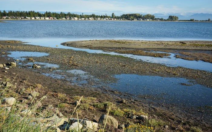  Boundary Bay from 12 Avenue Dyke Trail. Photo: Stephen Hui.