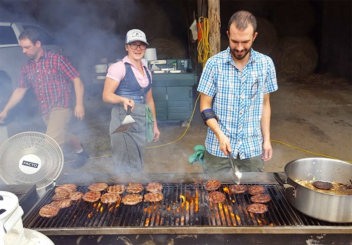 cows-burgers