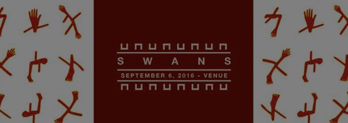 Swans