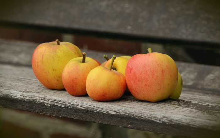 Apple Festival