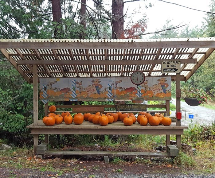 pumpkin-stand
