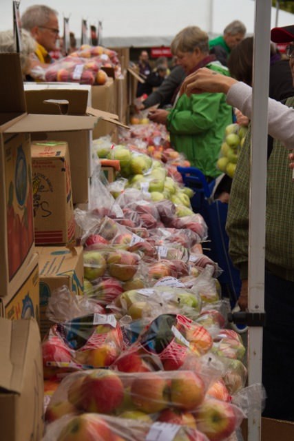  Apple buyers at the 25th annual Apple Festival