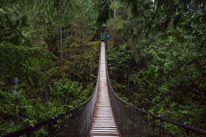  Photo: Official Lynn Canyon Facebook Page.