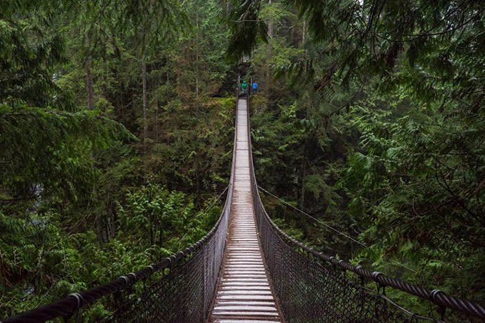  Photo: Lynn Canyon.