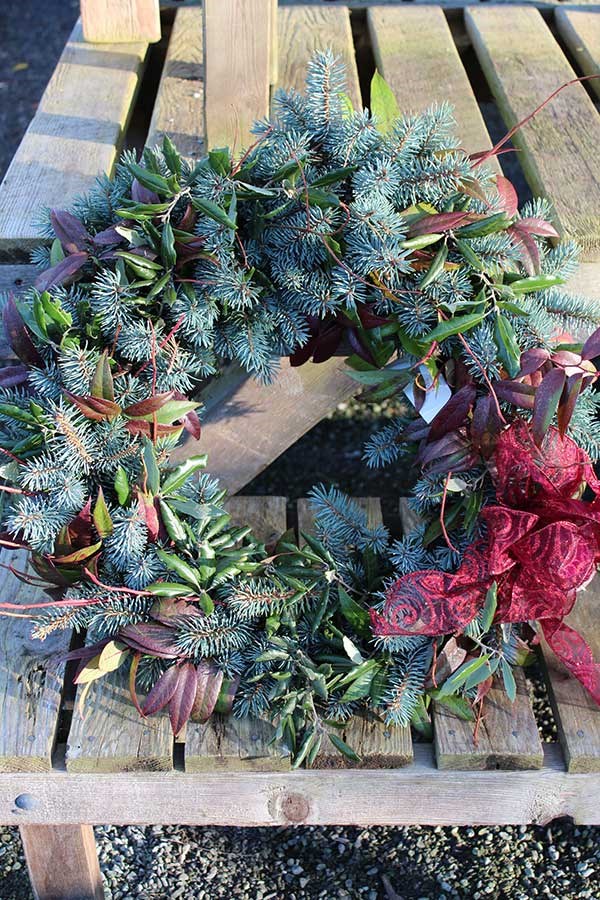  The Finished Product: a beautiful wreath