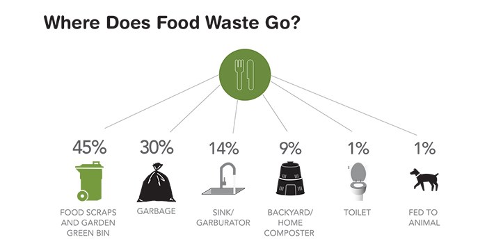 Food Waste