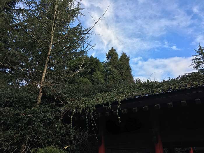  The Moon Gate at UBC Botanical Garden