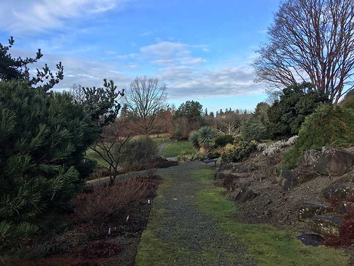  The Alpine Garden at UBC Botanical Garden, with trails winding up and down recreations of montane and alpine habitats