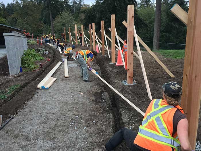  Students of the Horticultural Training Program complete an espalier renovation