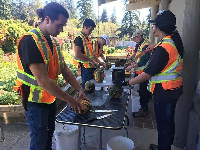  Student learn how to harvest squash seeds