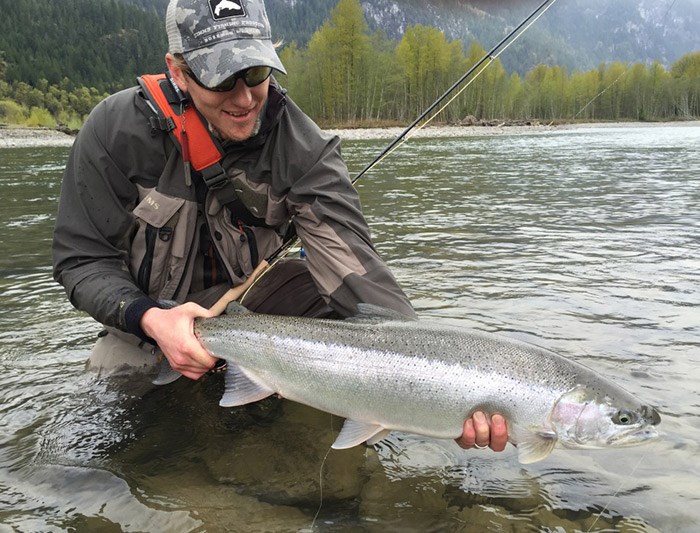  This is a steelhead but you could be targeting pink salmon, bull trout or other species depending on the date you choose to go