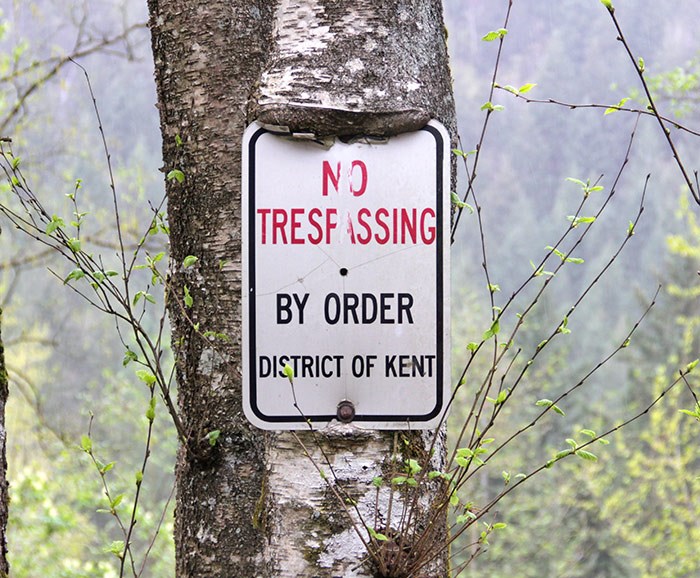  The tree is eating the sign