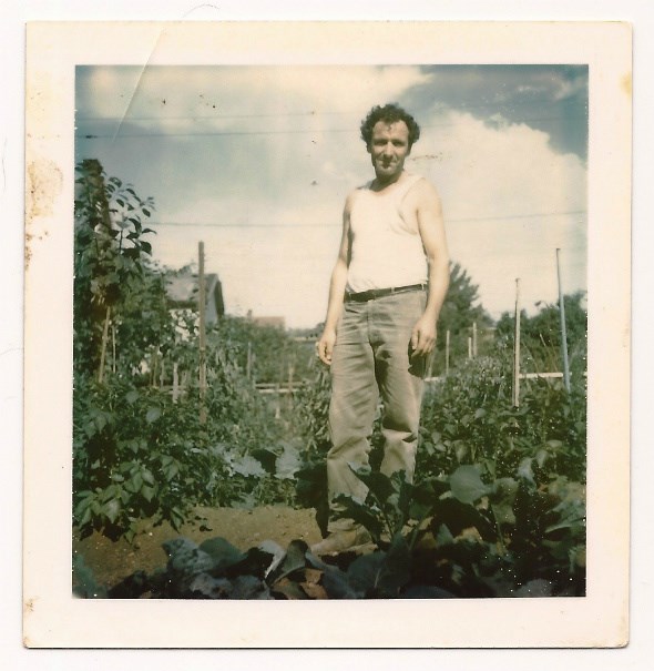  Rocco Calogero in the garden. Photo credit: collection of Donato Calogero