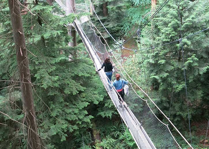  Greenheart TreeWalk is open every day until October 31