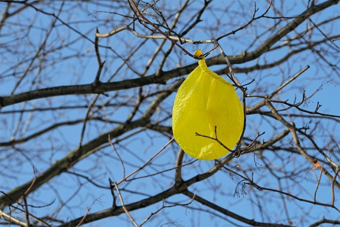  A motion by commissioner Stuart Mackinnon asks the park board to ban the use and display of balloons in parks, community centres and other areas within the board’s jurisdiction.