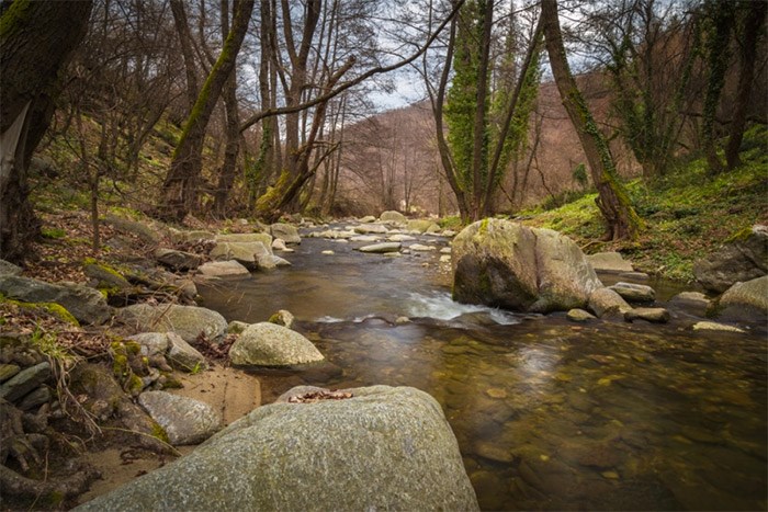  Spawning deterrents are used to avoid serious harm to fish during construction. A special mat is placed in the waterway. It prevents fish from spawning in the area and, thus, minimizes mortality to eggs and larvae during construction.   Photograph By Pexels