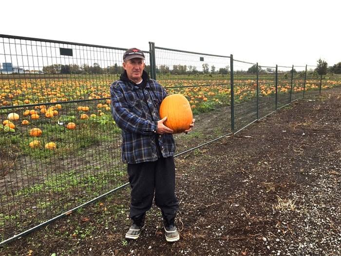  Richmond farmer George Gens has had to erect a fence around the fields that front Steveston Highway. He operates G J Farm and a produce stand at No. 4 Road and Steveston Highway.