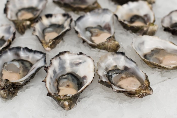  Oysters. Photo via Pixabay.