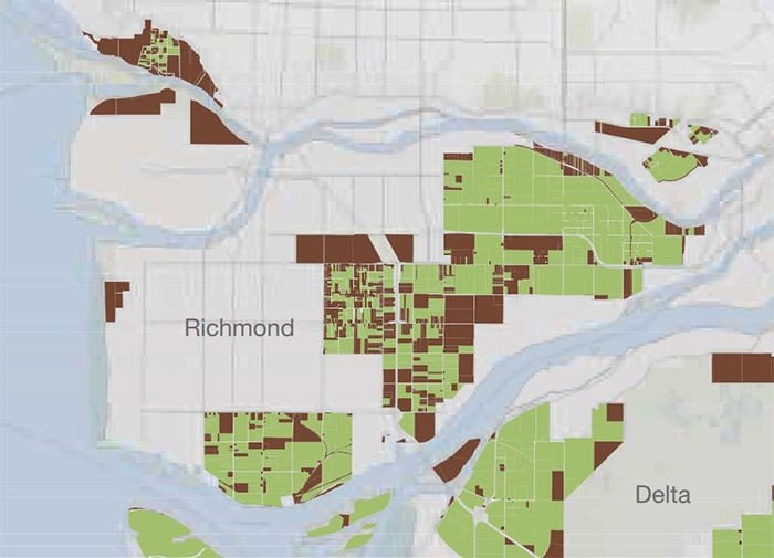  The green and brown patches on the map indicate land within the Agricultural Land Reserve (ALR). The brown patches are areas not being farmed. Approximately 4,993 ha (12,338 ac) of Richmond’s land base, or 39% of the city, is within the ALR.