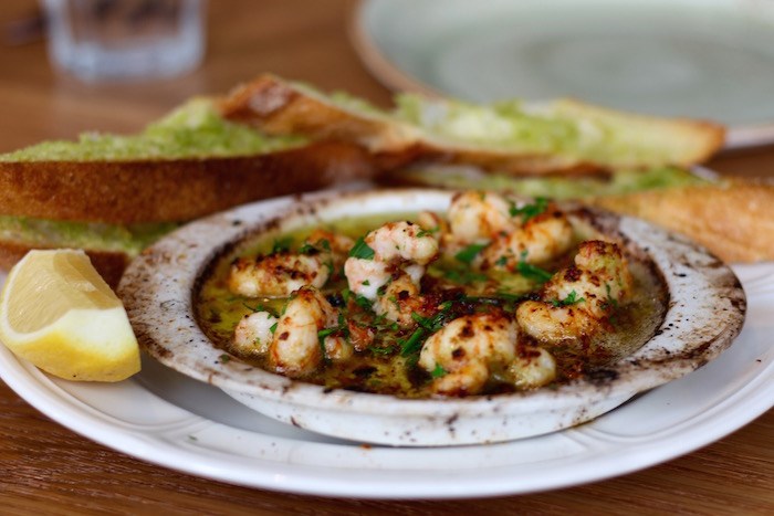  Sizzling Sidestripe Shrimp (Lindsay William-Ross/Vancouver Is Awesome)