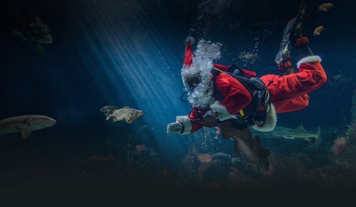  Visit Scuba Claus at the Vancouver Aquarium from Nov. 24 to Jan. 7.