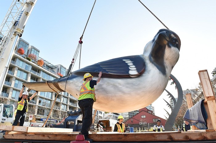  The Birds scupltures were removed from their Olympic Village home Thursday so that repair and finishing work can be done in Calgary and China. Photo Dan Toulgoet