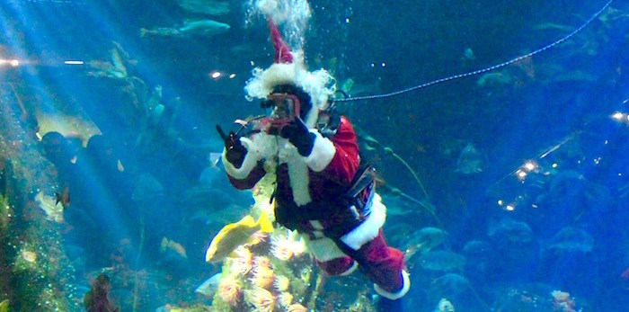 Scuba Claus (Lindsay William-Ross/Vancouver Is Awesome)