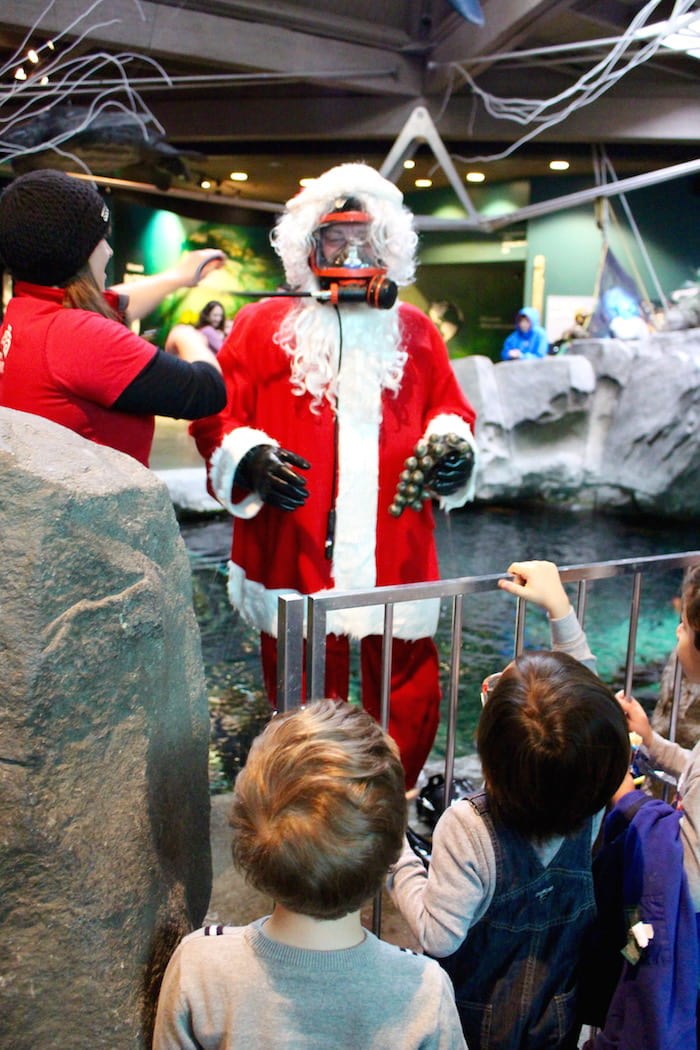  Meeting Scuba Claus (Lindsay William-Ross/Vancouver Is Awesome)