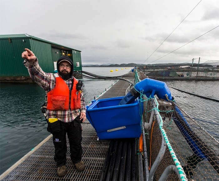  Moe Isaac is the manager of the Marine Harvest fish farm near Midsummer Island off Alert Bay. 
