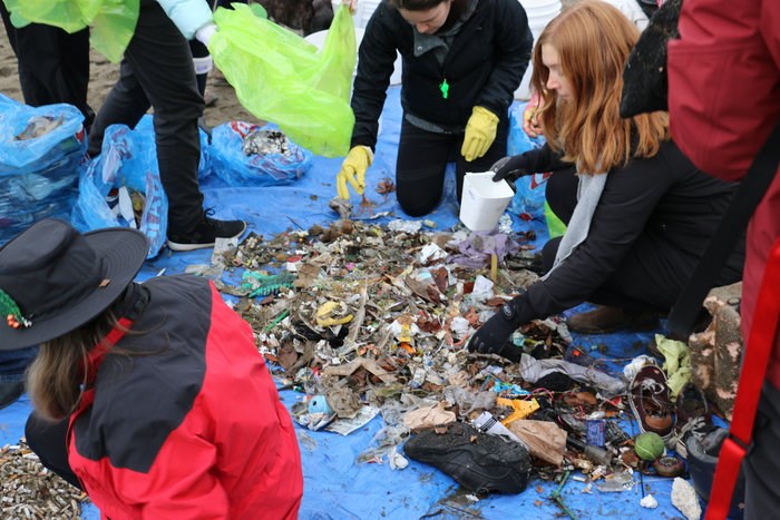  Volunteers organizing the collected garbage/Duncan Anderson